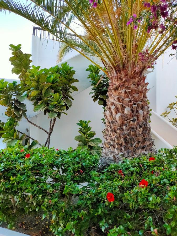 شقة Flor De Cactus كوستا تاغيسي المظهر الخارجي الصورة